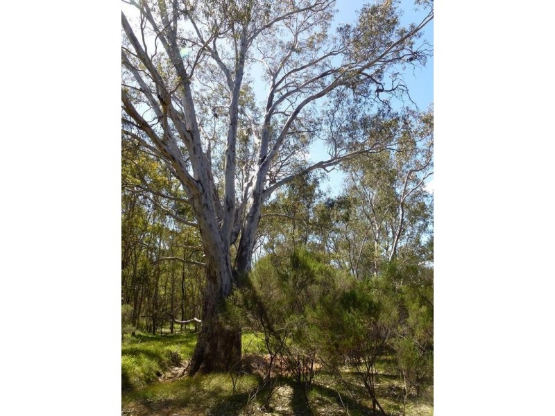 Lot 40,  Crystal Court, Eppalock VIC 3551