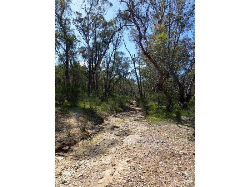 Lot 40,  Crystal Court, Eppalock VIC 3551