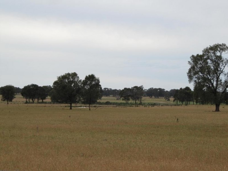 6A Willmans Road, Bagshot North VIC 3551