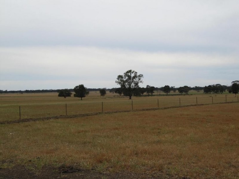 6A Willmans Road, Bagshot North VIC 3551