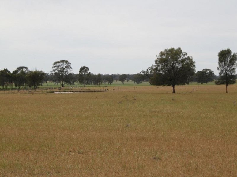 6A Willmans Road, Bagshot North VIC 3551