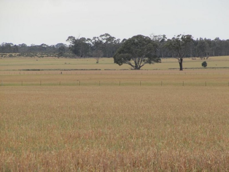 6A Willmans Road, Bagshot North VIC 3551