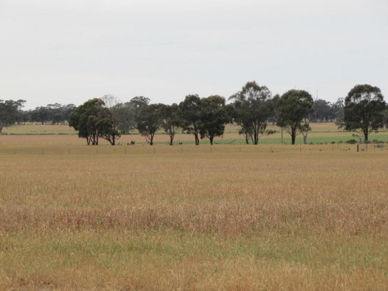 6A Willmans Road, Bagshot North VIC 3551