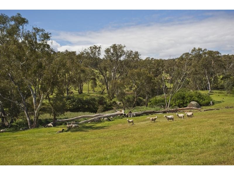 43 Wingrave Road, Lockwood South VIC 3551