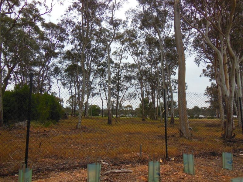 50 Kingston Drive, Eaglehawk VIC 3556