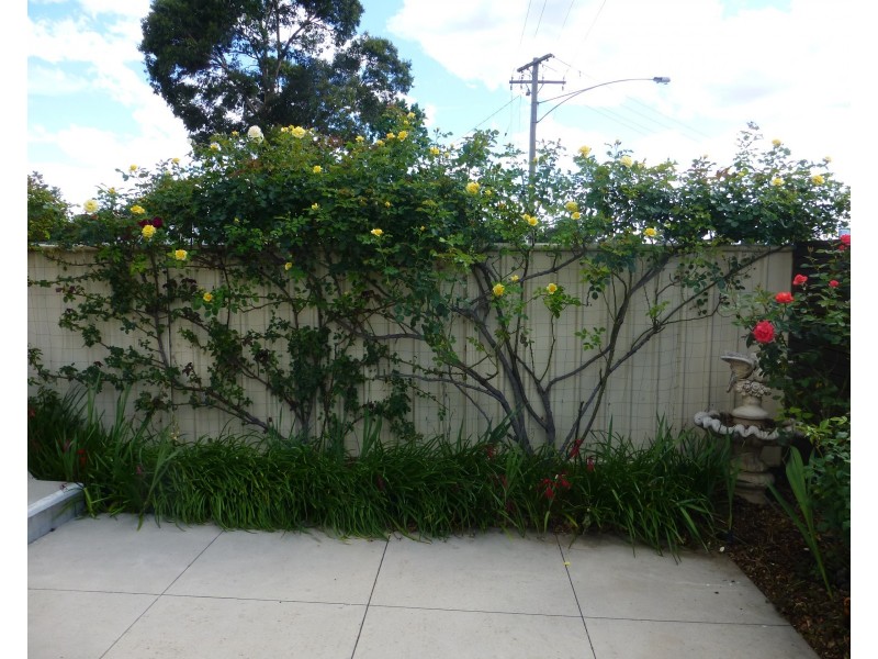 356 Napier Street, Bendigo VIC 3550