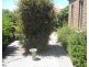 356 Napier Street, Bendigo VIC 3550