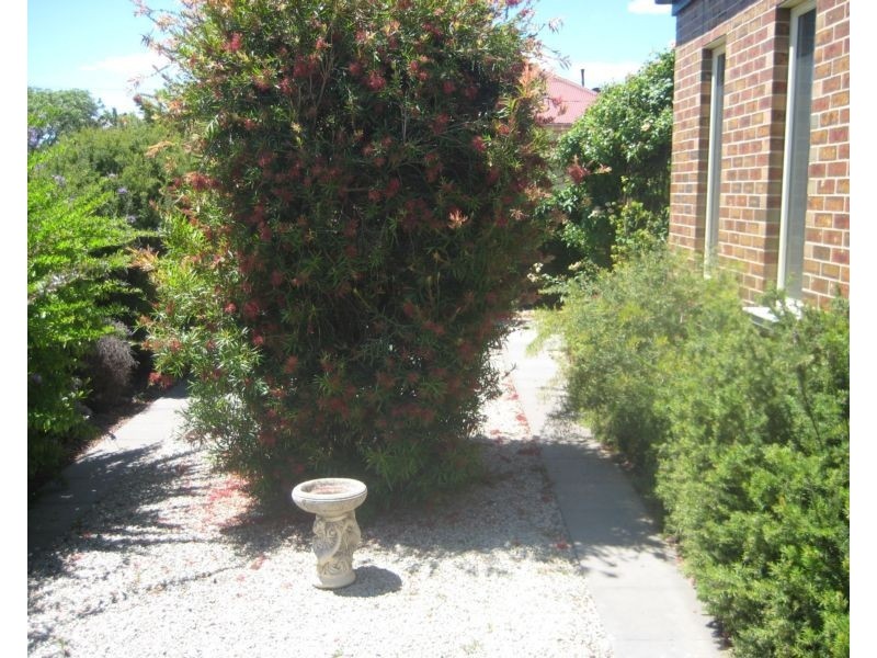 356 Napier Street, Bendigo VIC 3550
