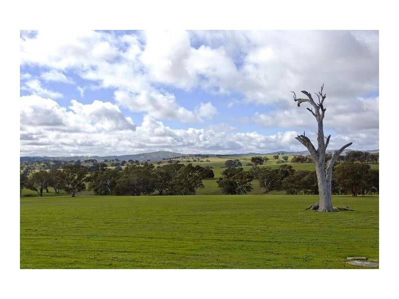 251 Pinjarra Drive, Lockwood South VIC 3551