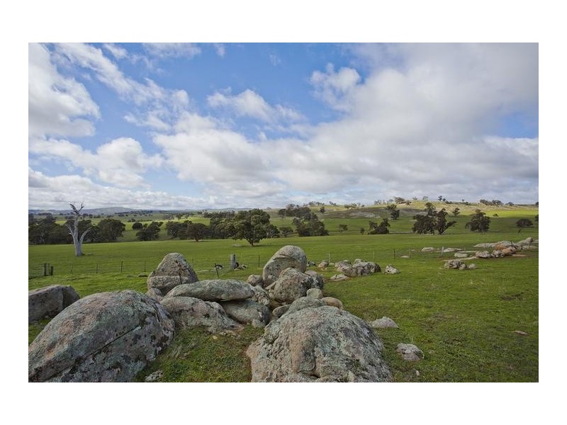 251 Pinjarra Drive, Lockwood South VIC 3551