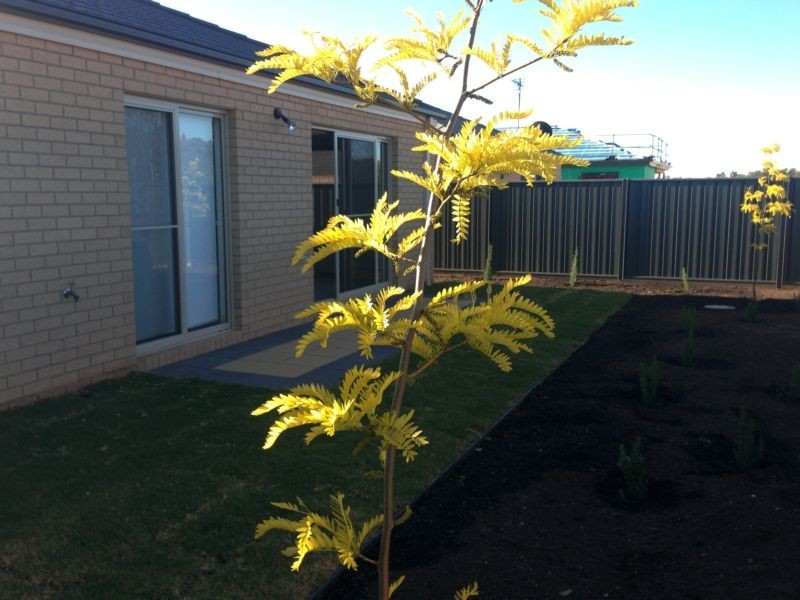 54 Greenfield Drive, Epsom VIC 3551