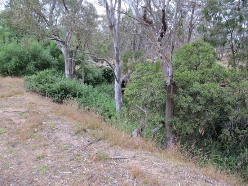 Lot 2,  Red Gum Valley Road, Ravenswood South VIC 3453