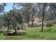 31 Shelley Street, Spring Gully VIC 3550