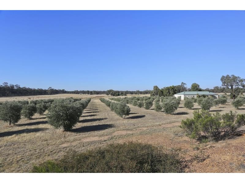 57 Wellsford Road, Longlea VIC 3551