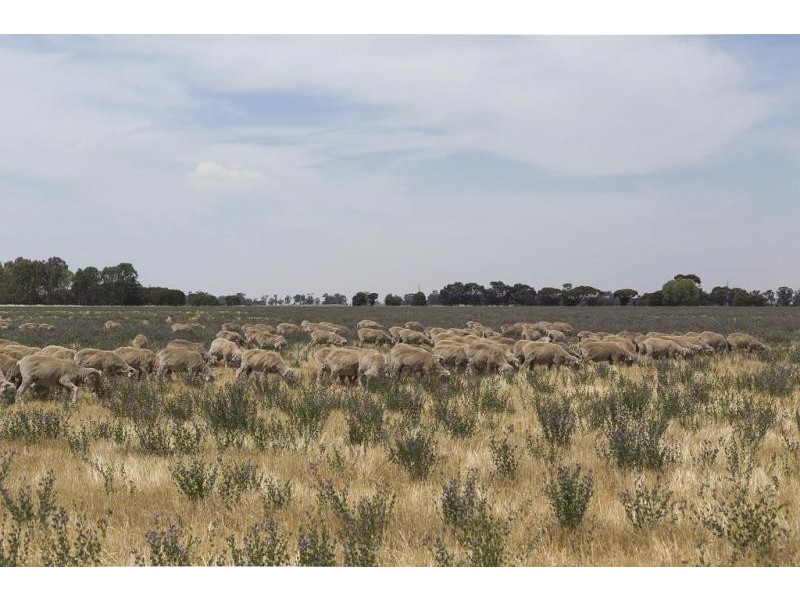 208 Longs Road, Serpentine VIC 3517