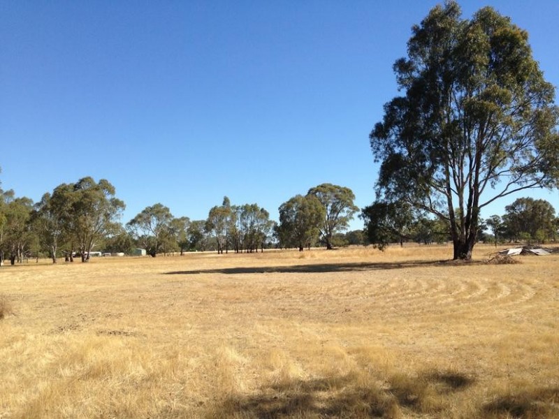 431 Sharkeys Road, Goornong VIC 3557