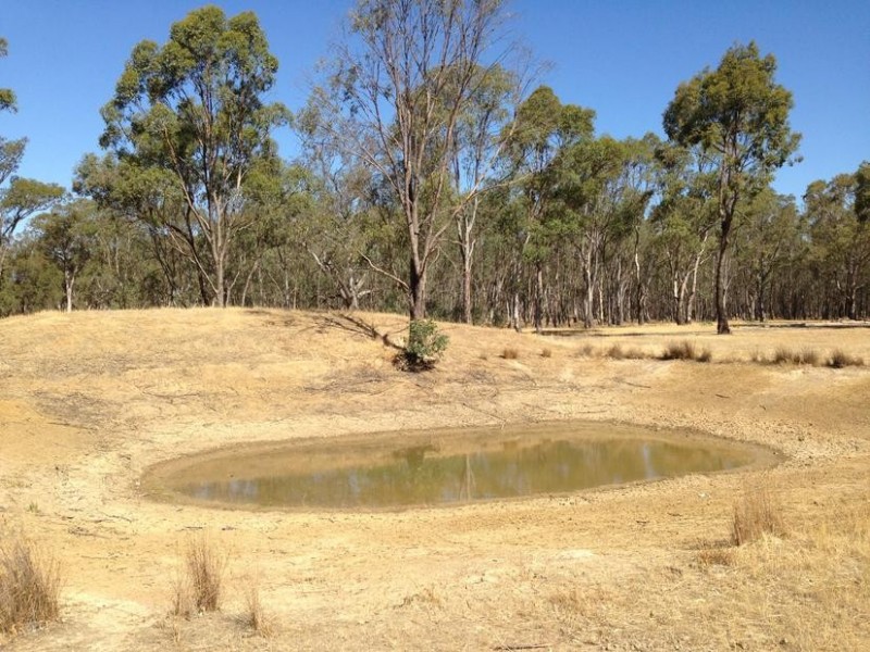 431 Sharkeys Road, Goornong VIC 3557