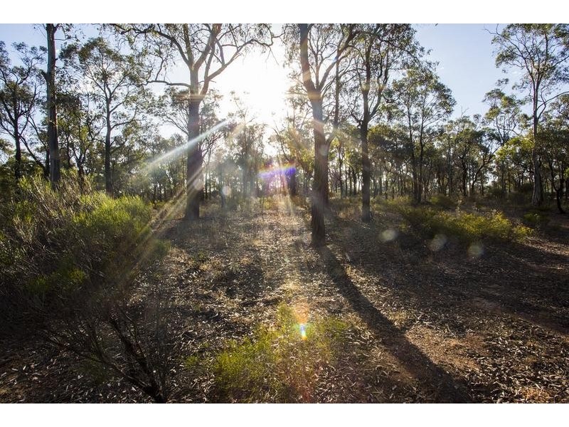 110 Church Street, White Hills VIC 3550