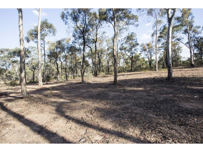 110 Church Street, White Hills VIC 3550