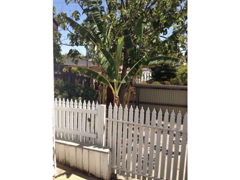 85 Honeysuckle Street, Bendigo VIC 3550