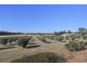 57 Wellsford Road, Longlea VIC 3551