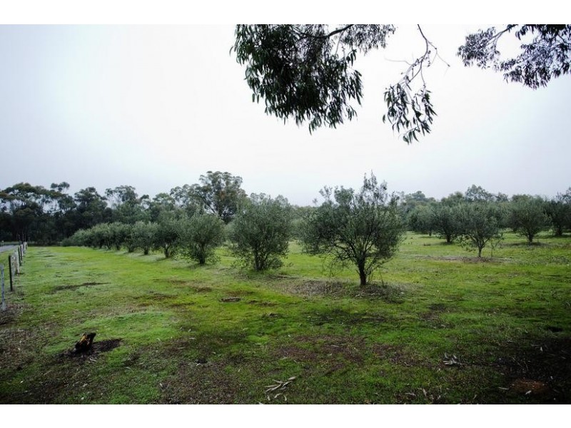 285 Tannery Lane, Mandurang VIC 3551