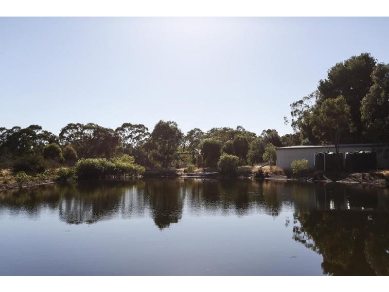 312 Mandurang South Road, Mandurang South VIC 3551