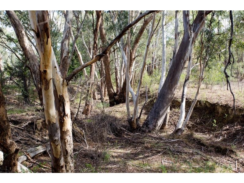 Lot 3, 3 Guys Hill Road, Strathfieldsaye VIC 3551
