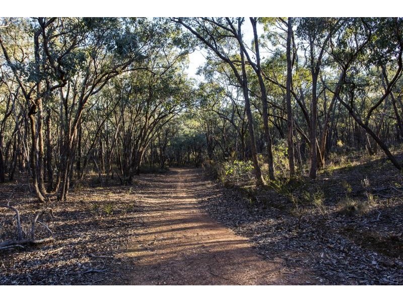 61 Claremont Place, Sedgwick VIC 3551