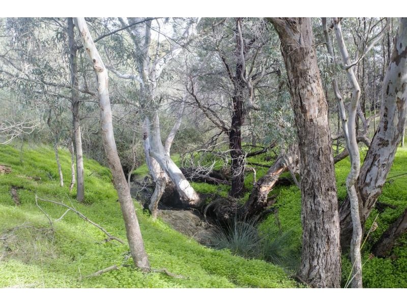 Lot 1, 266 Springs Road, Sedgwick VIC 3551