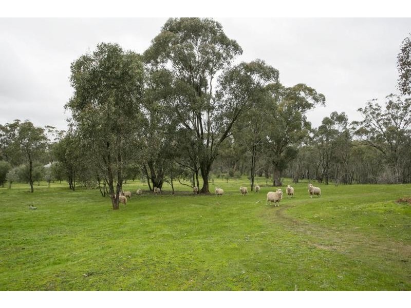 131 Sugarloaf Road, Axedale VIC 3551