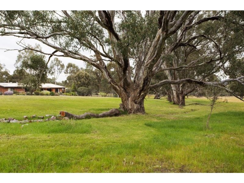 84 Beilharz Road, Ravenswood VIC 3453