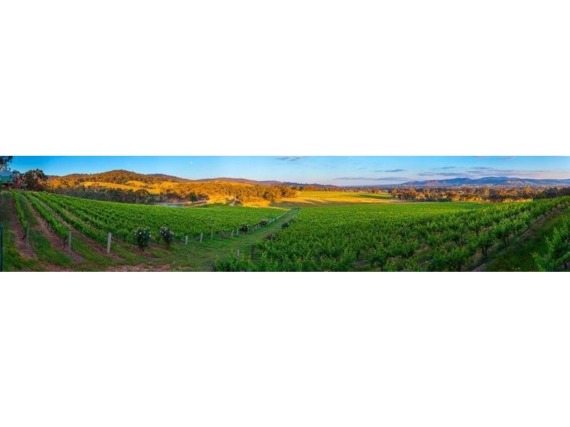 188 Mountain Creek Road, Moonambel VIC 3478