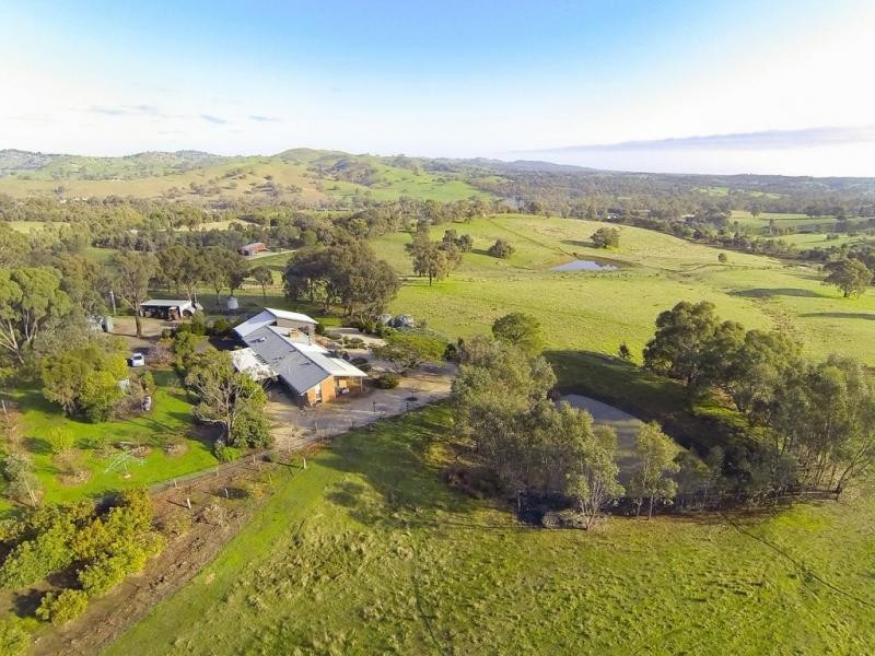 87 Tarrleah Drive, Sedgwick VIC 3551