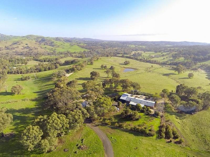 87 Tarrleah Drive, Sedgwick VIC 3551