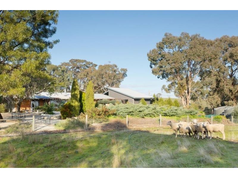 87 Tarrleah Drive, Sedgwick VIC 3551