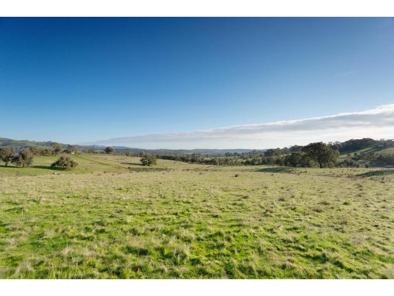 87 Tarrleah Drive, Sedgwick VIC 3551