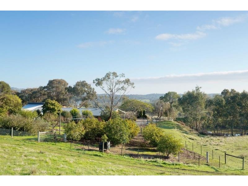 87 Tarrleah Drive, Sedgwick VIC 3551