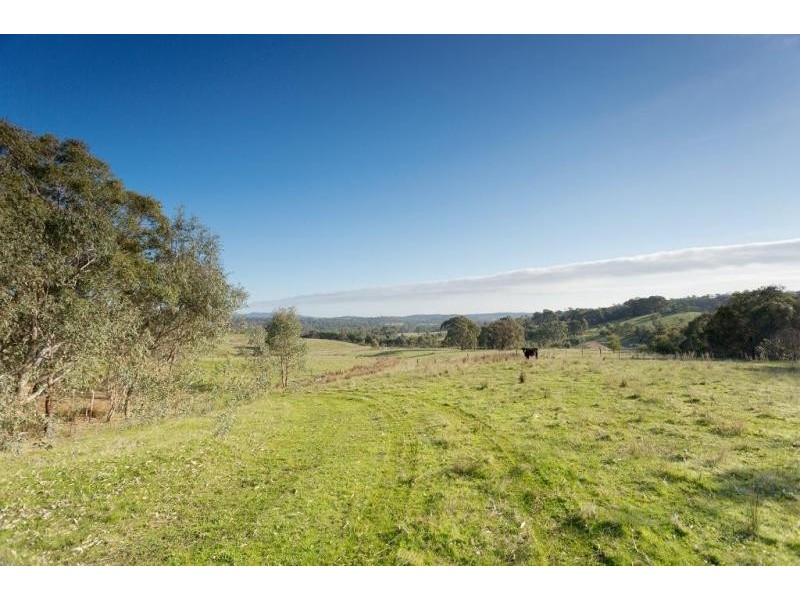 87 Tarrleah Drive, Sedgwick VIC 3551