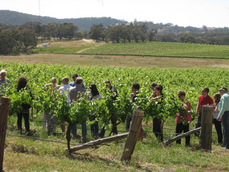 188 Mountain Creek Road, Moonambel VIC 3478