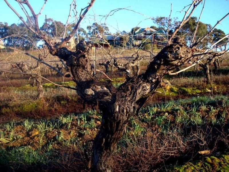 188 Mountain Creek Road, Moonambel VIC 3478