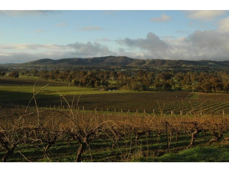 188 Mountain Creek Road, Moonambel VIC 3478