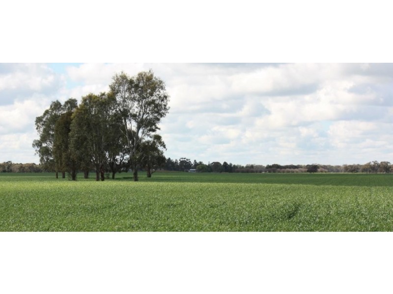 1072 Old Boort Road, Bears Lagoon VIC 3517