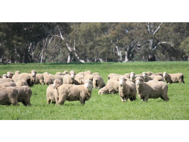 1072 Old Boort Road, Bears Lagoon VIC 3517