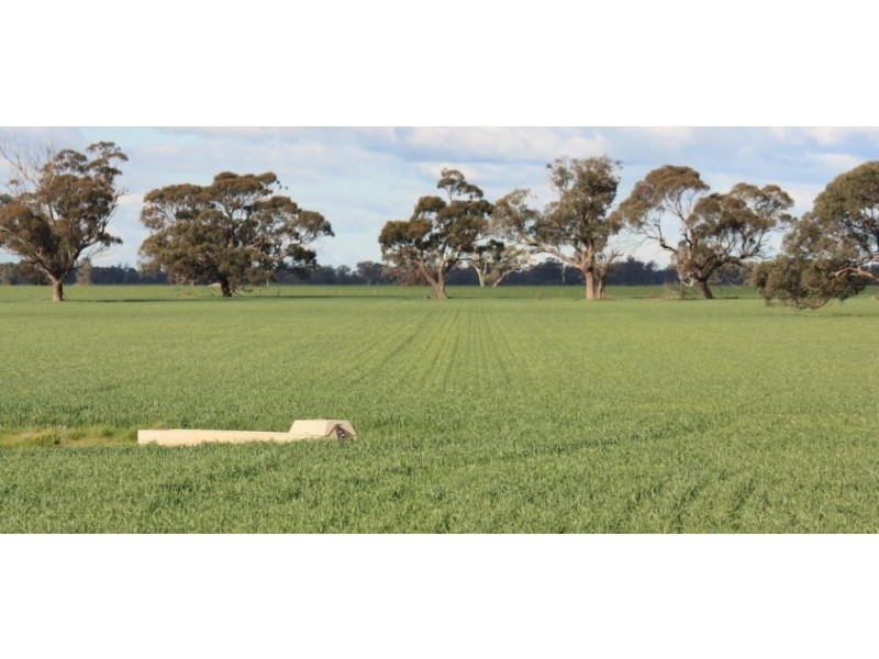 1072 Old Boort Road, Bears Lagoon VIC 3517