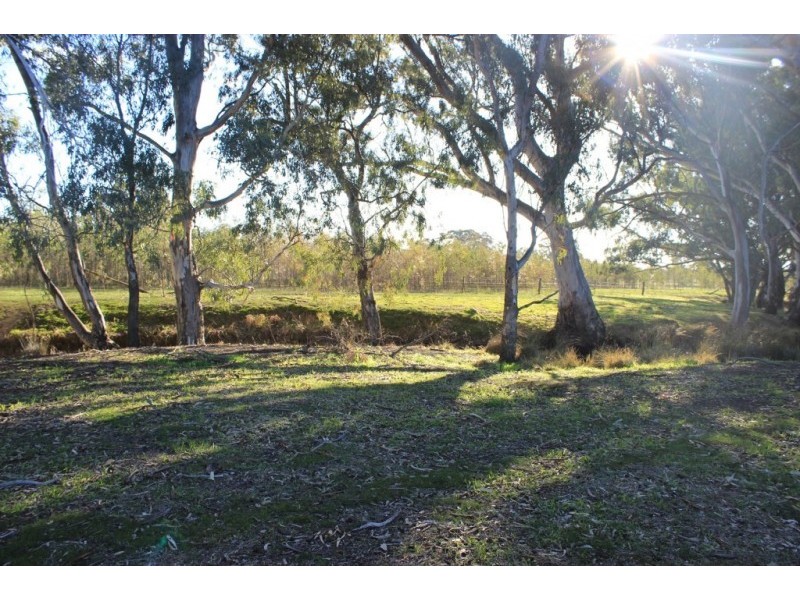 Lot 1, 16 Clifton Road, Wellsford VIC 3551