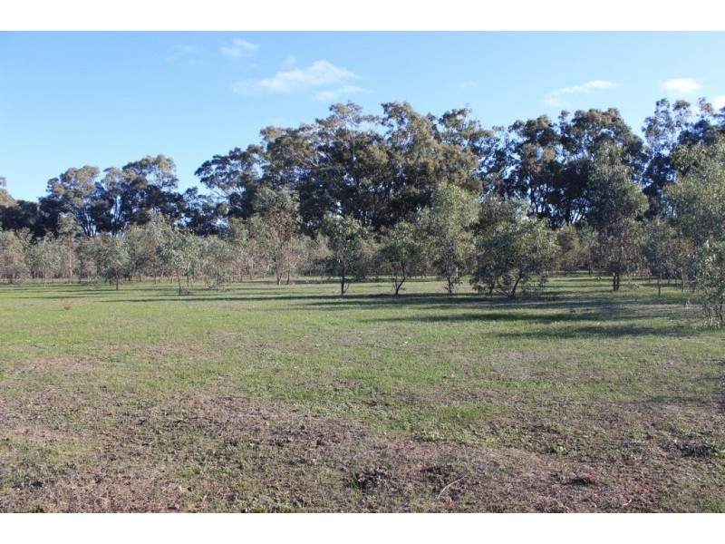 Lot 1, 16 Clifton Road, Wellsford VIC 3551