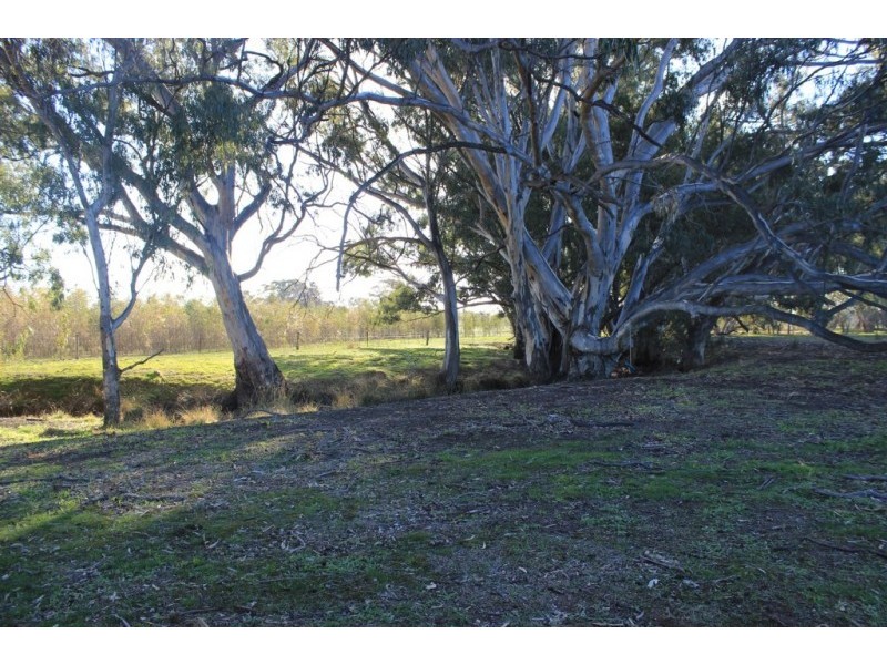 Lot 1, 16 Clifton Road, Wellsford VIC 3551