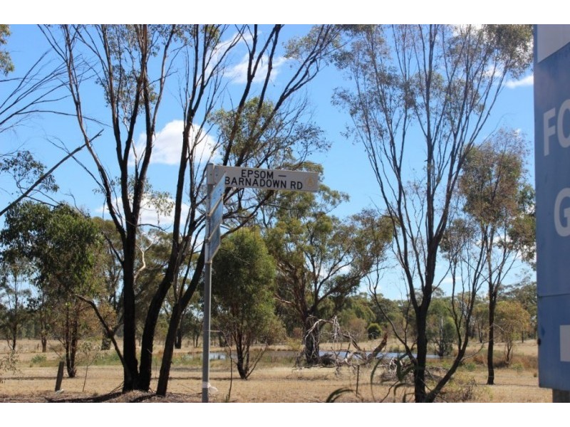 Lot 1, 16 Clifton Road, Wellsford VIC 3551