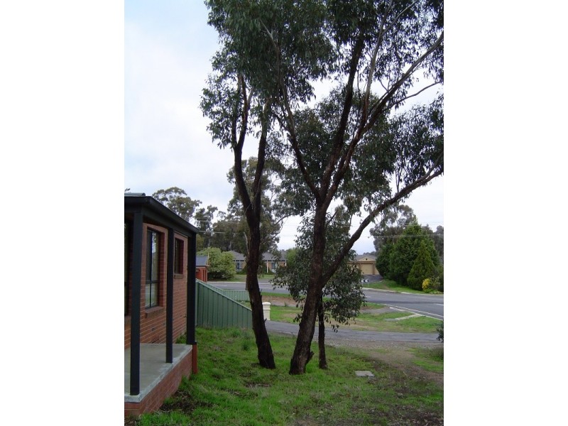 1/81 Osborne Street, Flora Hill VIC 3550